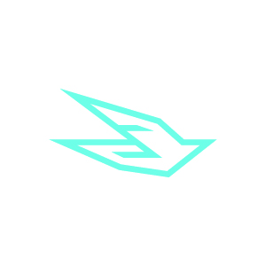 Swift16 Aerial Service